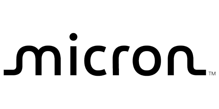 micron